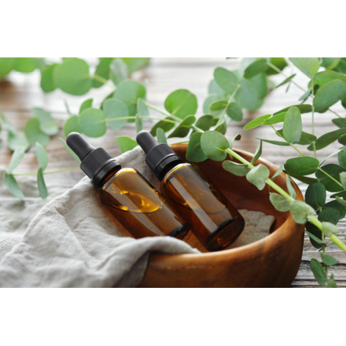Thành phần chính của dầu khuynh diệp