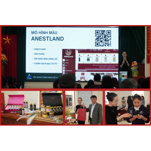 ANestLand – Đồng hành cùng hệ sinh thái thương mại hiện đại