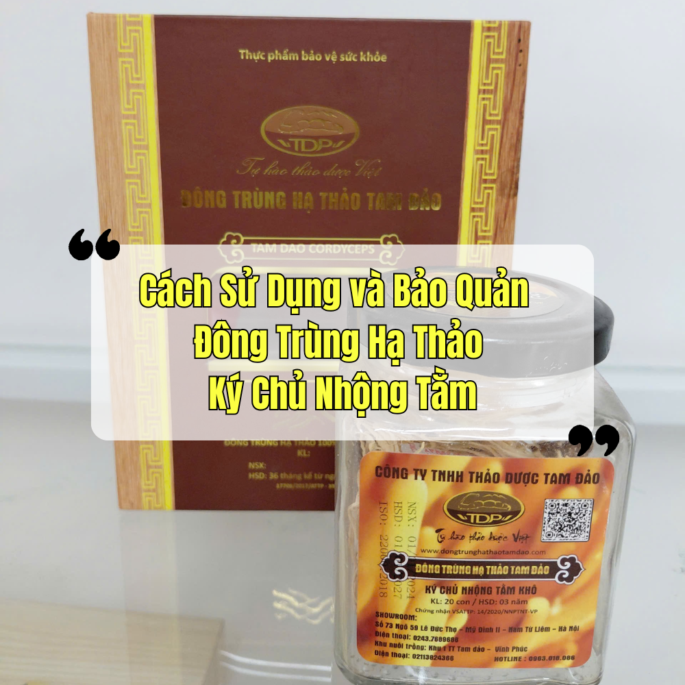Cách Sử Dụng Và Bảo Quản - Đông Trùng Hạ Thảo Ký Chủ Nhộng
