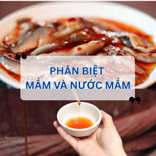 Mắm Và Nước Mắm Khác Nhau Như Thế Nào?