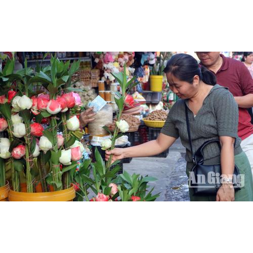 Núi Sam Những Ngày Gần Khai Hội