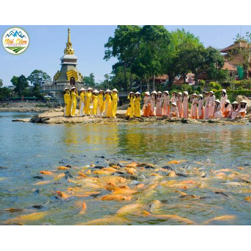 Một số hình ảnh