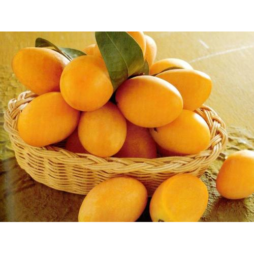 Thưởng thức hương vị đặc biệt của trái thanh trà