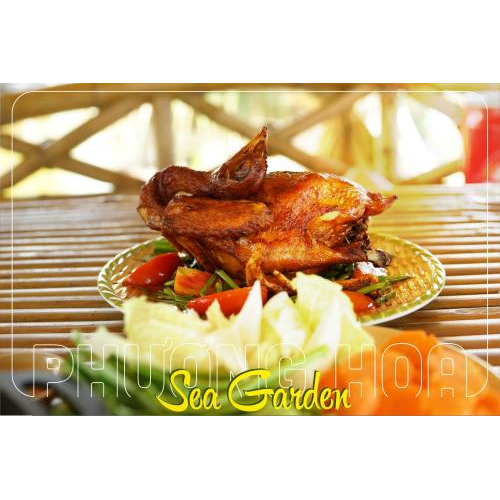 Phương Hoa Sea Garden – Điểm đến không thể bỏ lỡ dịp lễ 30/4 - 1/5 này!